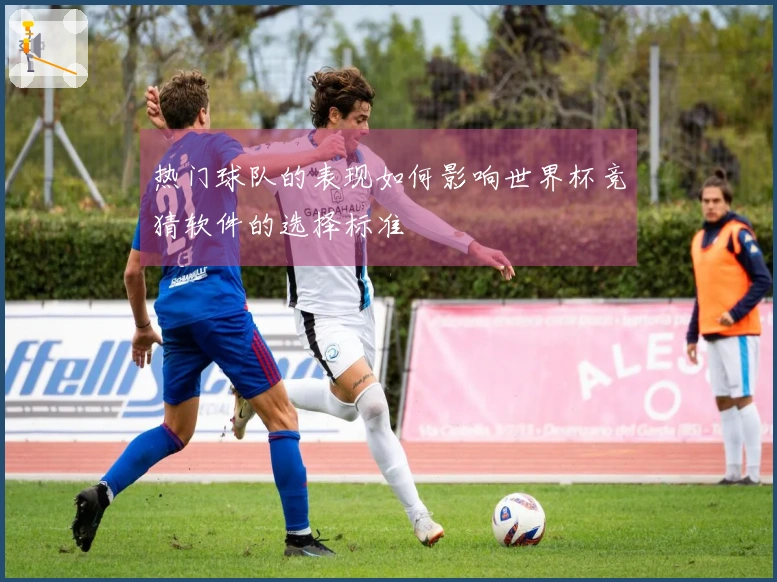 热门球队的表现如何影响世界杯竞猜软件的选择标准