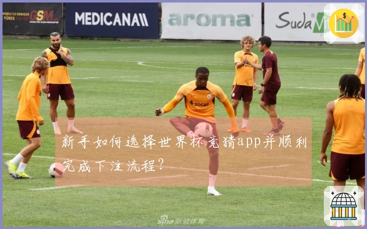新手如何选择世界杯竞猜app并顺利完成下注流程？