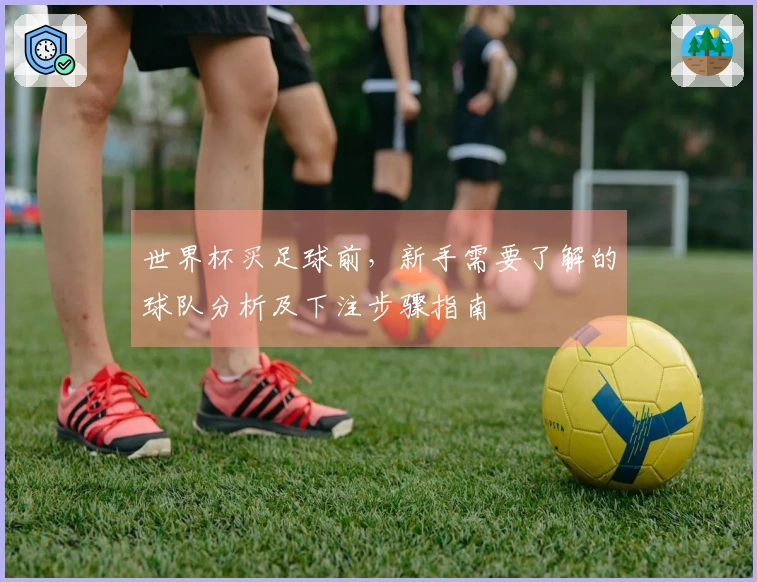 世界杯买足球前，新手需要了解的球队分析及下注步骤指南