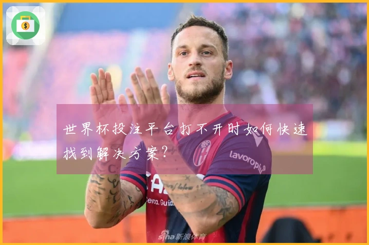 世界杯投注平台打不开时如何快速找到解决方案？