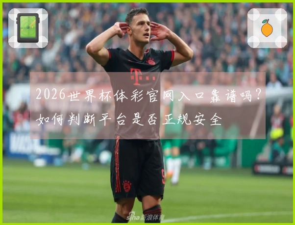 2026世界杯体彩官网入口靠谱吗？如何判断平台是否正规安全