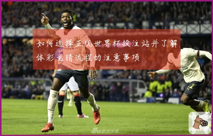 如何选择正规世界杯投注站并了解体彩竞猜流程的注意事项