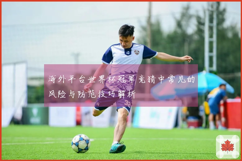 海外平台世界杯冠军竞猜中常见的风险与防范技巧解析