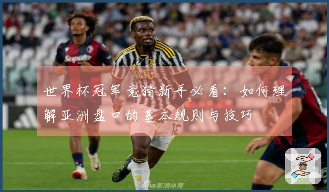 世界杯冠军竞猜新手必看：如何理解亚洲盘口的基本规则与技巧