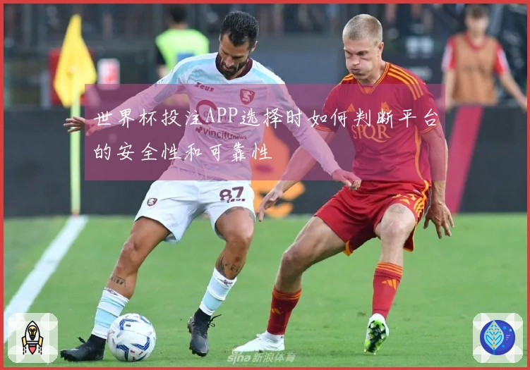 世界杯投注APP选择时如何判断平台的安全性和可靠性