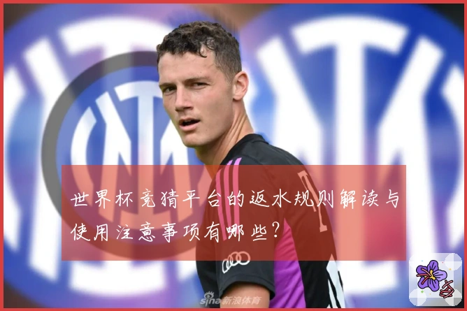 世界杯竞猜平台的返水规则解读与使用注意事项有哪些？
