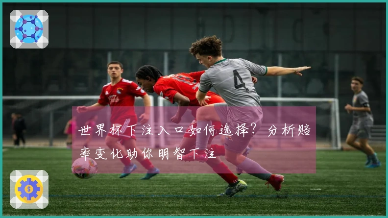 世界杯下注入口如何选择？分析赔率变化助你明智下注