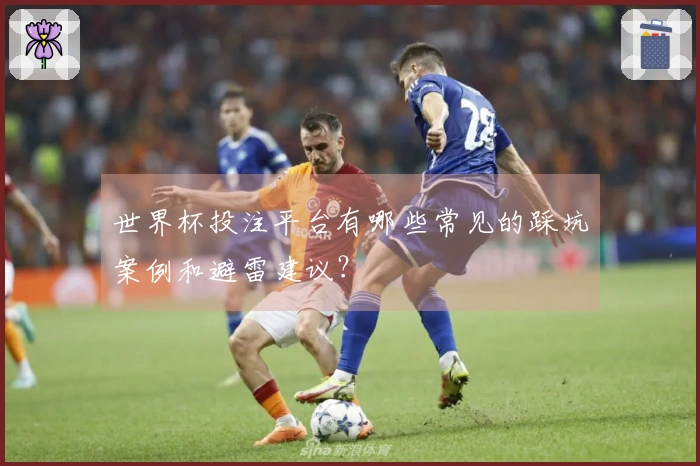 世界杯投注平台有哪些常见的踩坑案例和避雷建议？