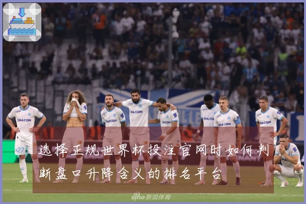 选择正规世界杯投注官网时如何判断盘口升降含义的排名平台