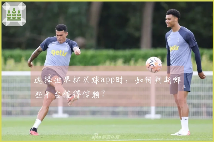 选择世界杯买球app时，如何判断哪些平台值得信赖？