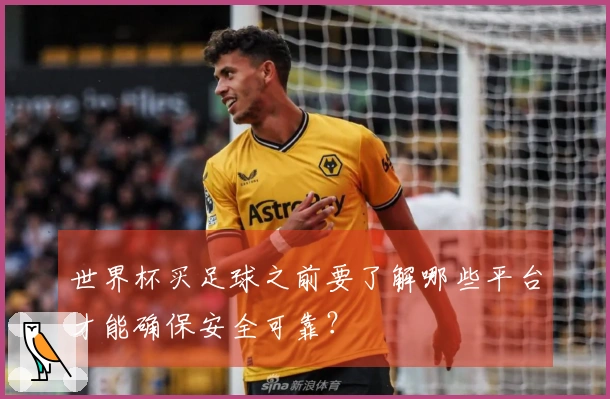 世界杯买足球之前要了解哪些平台才能确保安全可靠？