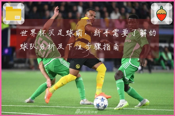 世界杯买足球前，新手需要了解的球队分析及下注步骤指南