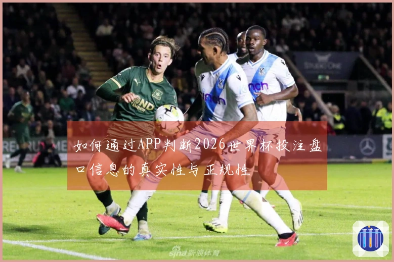 如何通过APP判断2026世界杯投注盘口信息的真实性与正规性