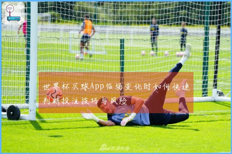 世界杯买球App临场变化时如何快速判断投注技巧与风险