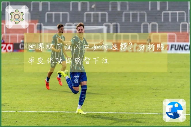 世界杯下注入口如何选择？分析赔率变化助你明智下注