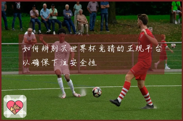 如何辨别买世界杯竞猜的正规平台以确保下注安全性