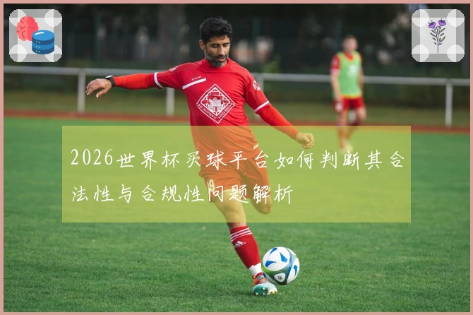 2026世界杯买球平台如何判断其合法性与合规性问题解析